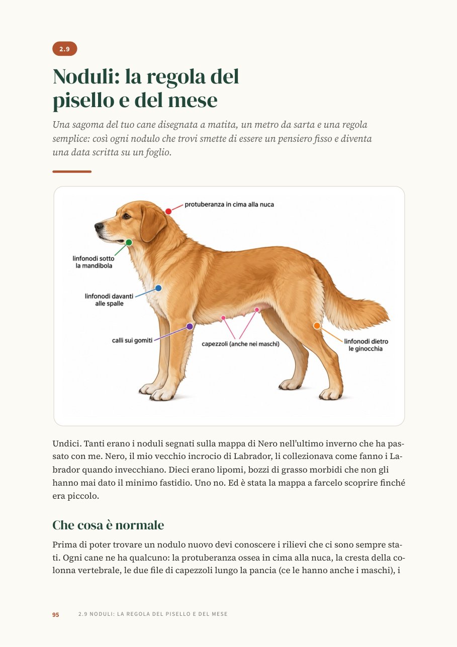 Una pagina del libro: la mappa dei rilievi normali del cane, prima di cercare noduli nuovi
